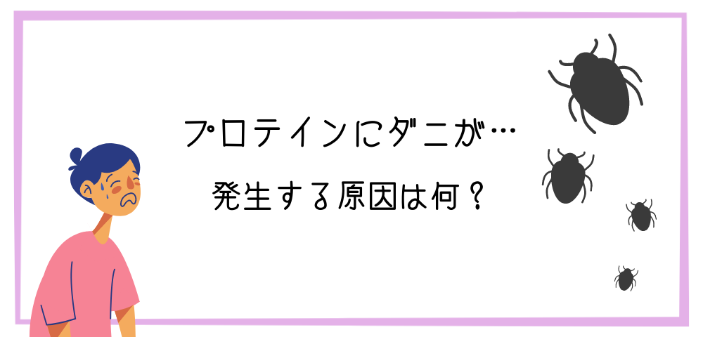 プロテインにダニが繁殖する理由３つ